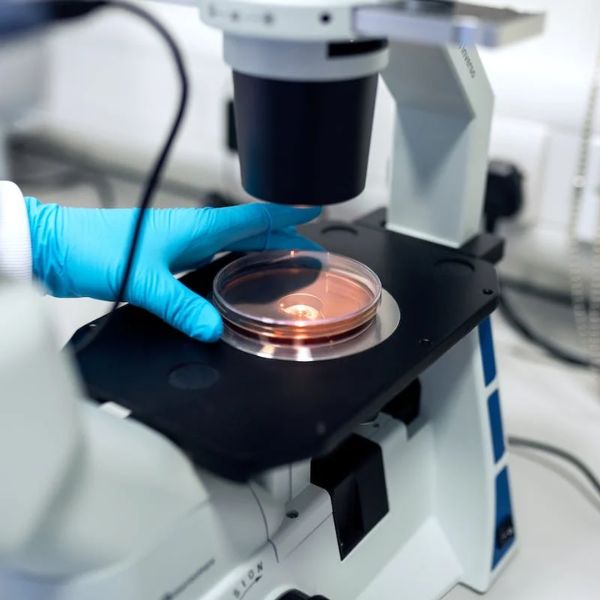 Host Cell Line Bicognate -biocognate