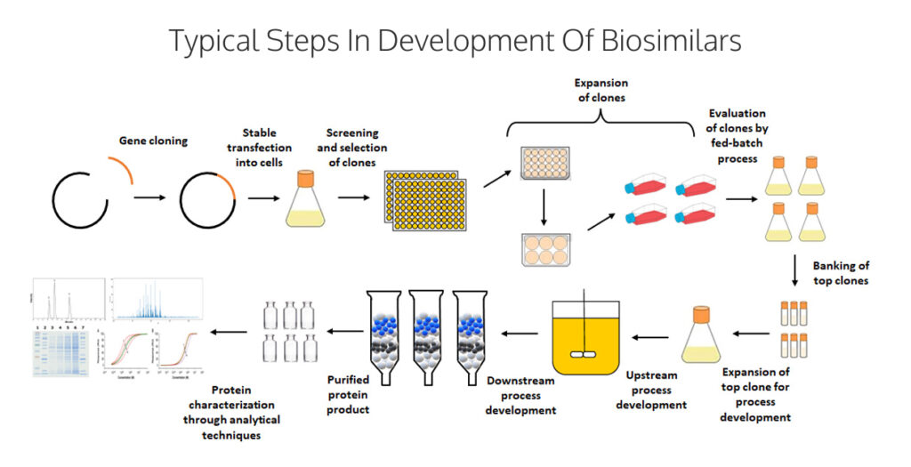 Biosimilar Development Overview